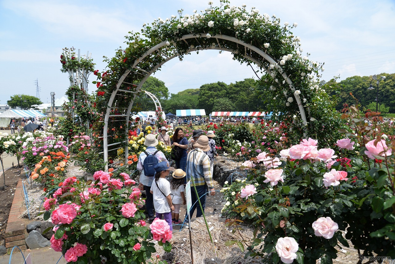 富士山オールドカーフェスタ2019