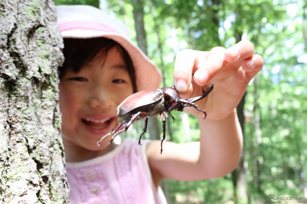 もてぎの里山・ハローウッズ内にあるカブトムシやクワガタに自由に触れられるコーナー