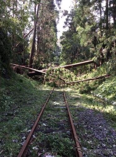 久留里線の被災状況。倒木が発生した上総松丘～上総亀山間。