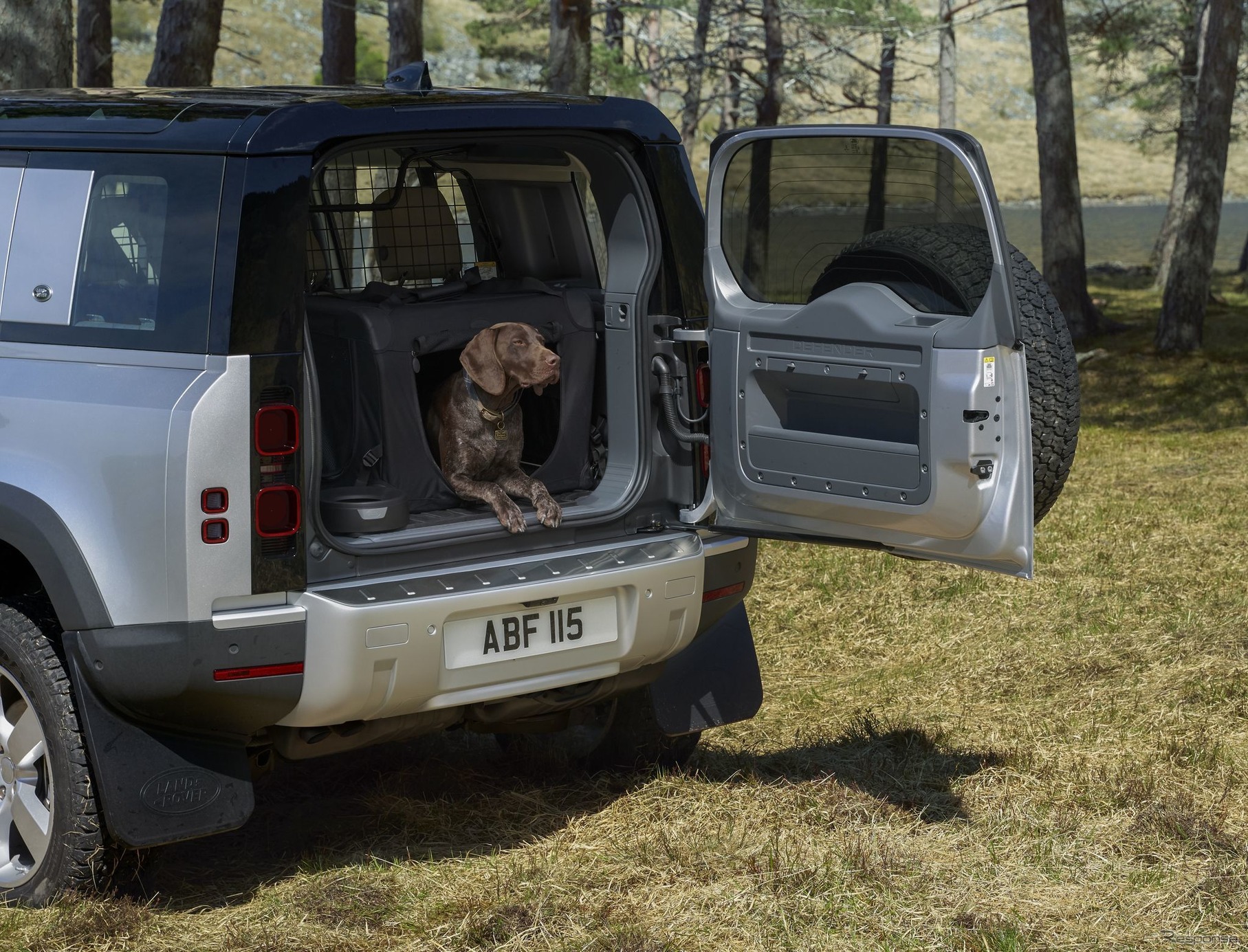 ランドローバー・ディフェンダー 新型と荷室の犬