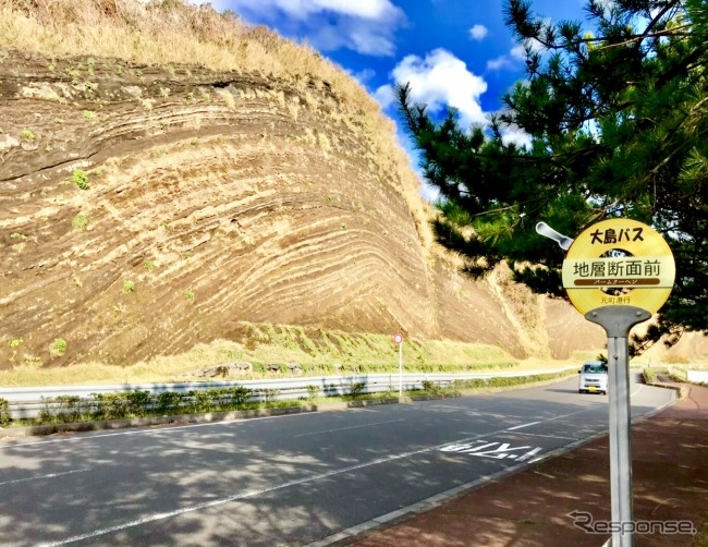 大島地層大切断面