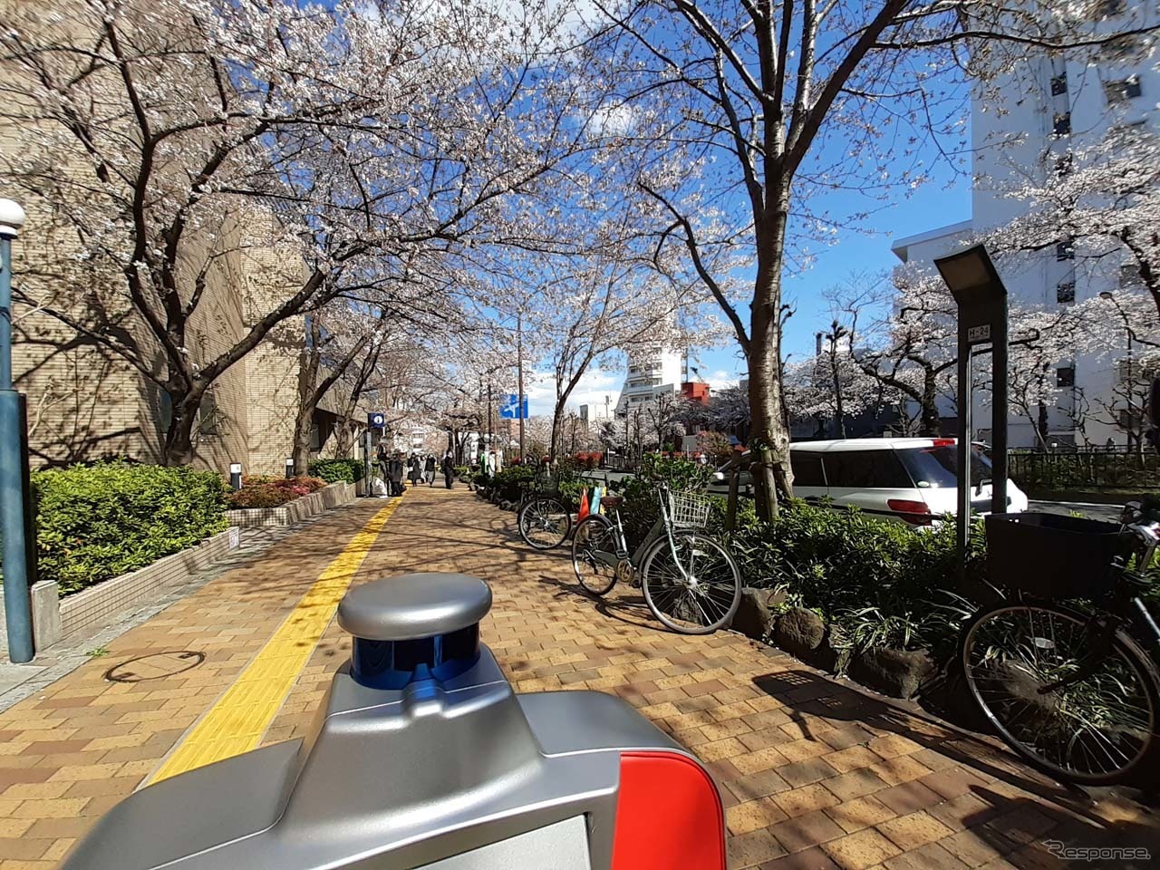 満開の桜の下、「ラクロ」は何の操作もなく桜並木を走り切った