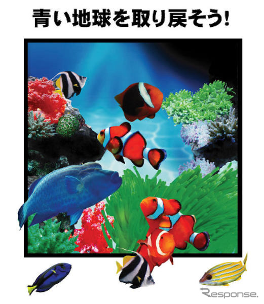 沖縄でサンゴ礁再生を訴える　マツダレンタカー