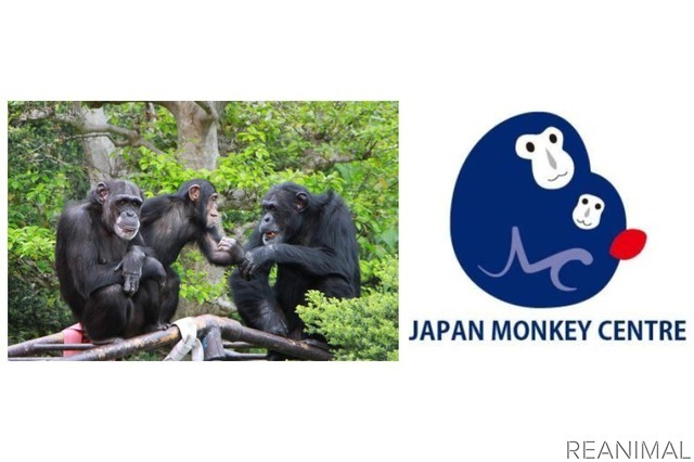 日本モンキーセンター、「親子でオンライン体験フェス」に出展決定