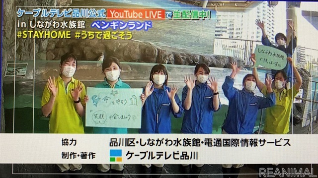 しながわ水族館にライブカメラを設置