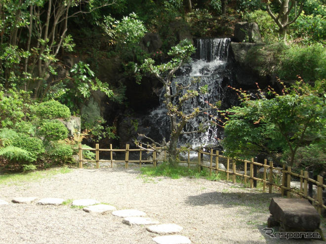 梅雨の風物詩「あじさいまつり」　6月21日から