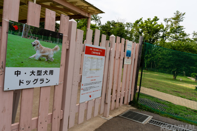 中・大型犬用ドッグラン