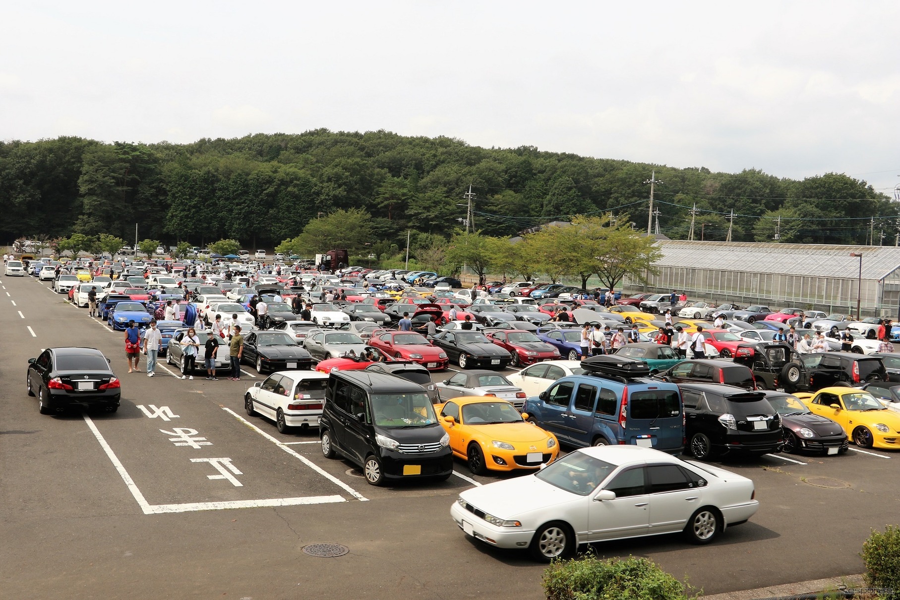 とにかくありとあらゆる車が集合