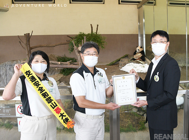 ジャイアントパンダの「彩浜」、交通安全和歌山夢大使として広報活動を実施
