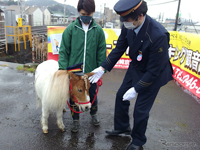 ミニチュアポニーが京急の馬堀海岸駅の1日駅長に就任。