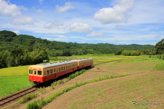 小湊鐵道のキハ200形。14両が在籍しているが、キハ209は現在、休車中。キハ40形は2両のみのため、今後は共用される。