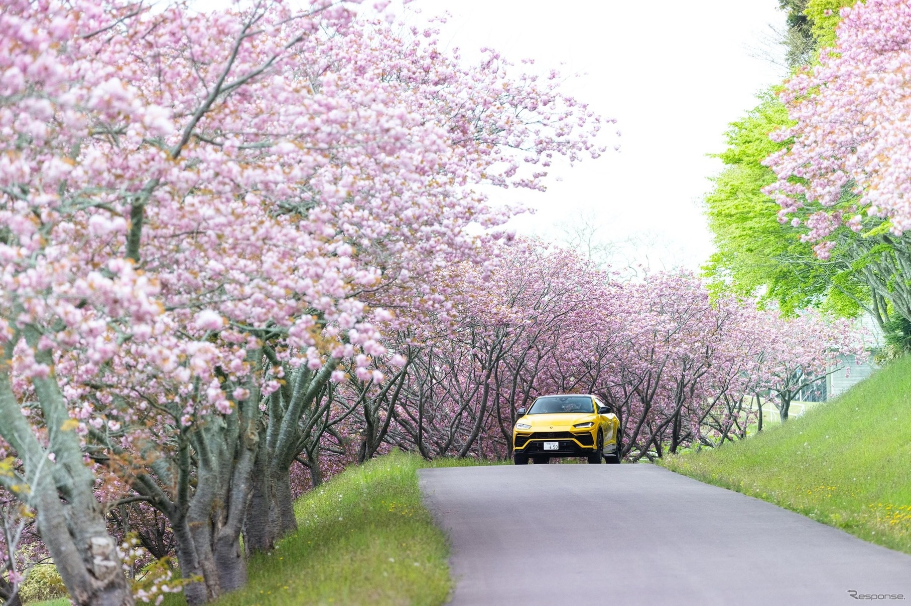 「UNLOCK ANY ROAD JAPAN」（北海道：トラピスト修道院）
