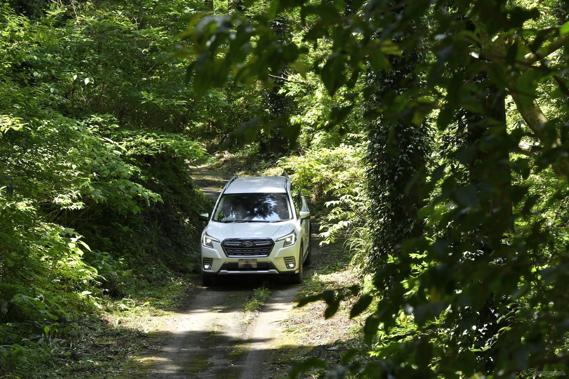 スバル・フォレスター改良新型