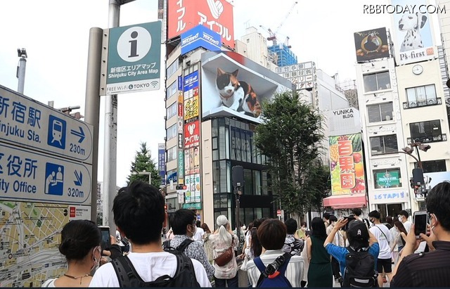 新宿駅前の巨大3D三毛猫に注目集まる！今後期待される新しい広告ビジョン