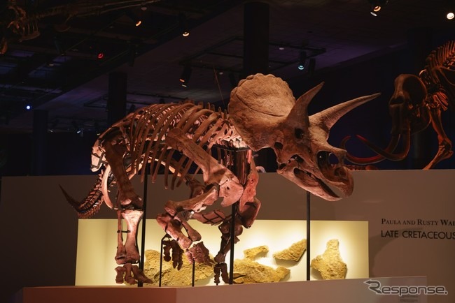 恐竜科学博(9月12日まで)