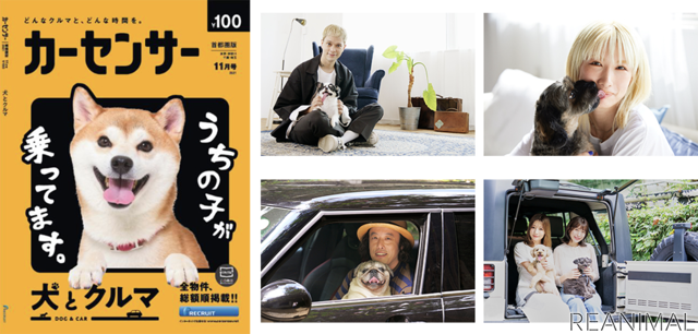 中古車情報誌『カーセンサー』、11月号の特集は「犬とクルマ」