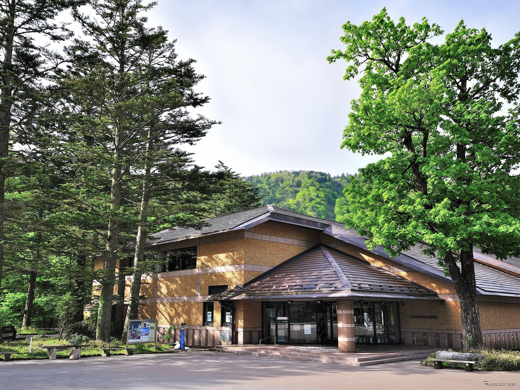 観光コンテンツ：栃木県立日光自然博物館