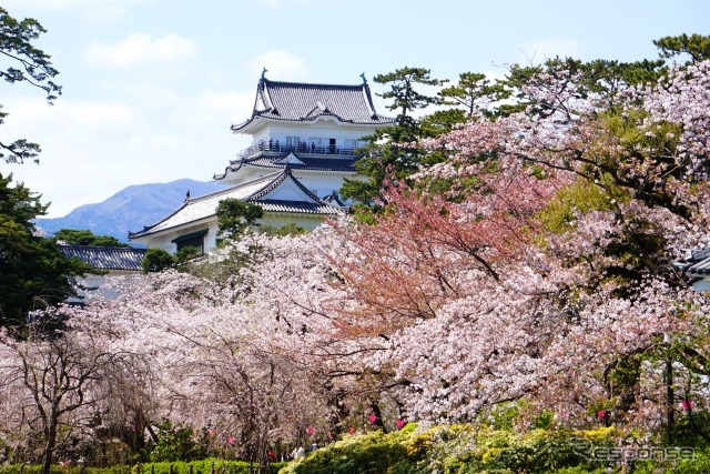 小田原城