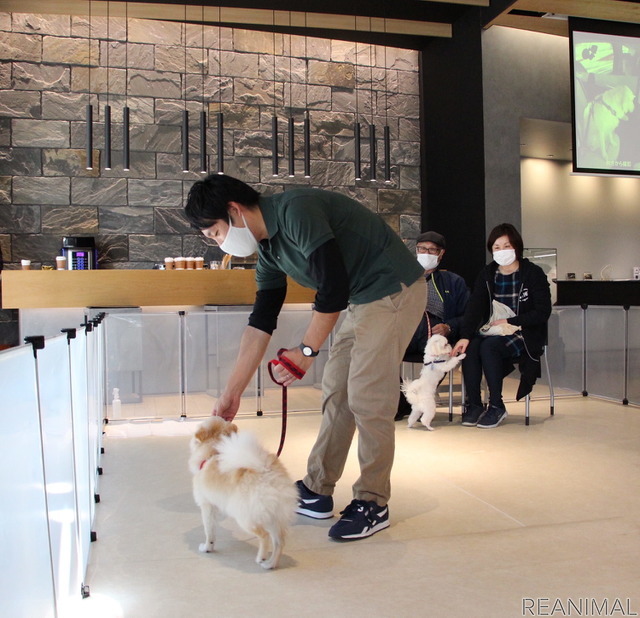 アニコム×関東マツダ 子犬のしつけ教室