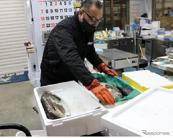 函館の今朝どれ鮮魚を梱包