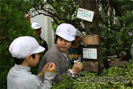 ジャパンエナジー、小学生向けに JOMO自然観察教室を実施