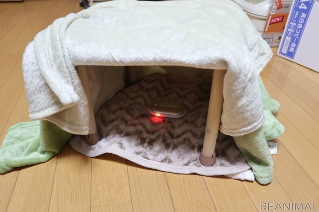 電子カイロの機能を持ったモバイルバッテリーを中に入れてみた。使い捨てカイロでもよい