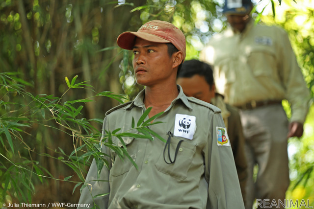 © Julia Thiemann / WWF-Germany