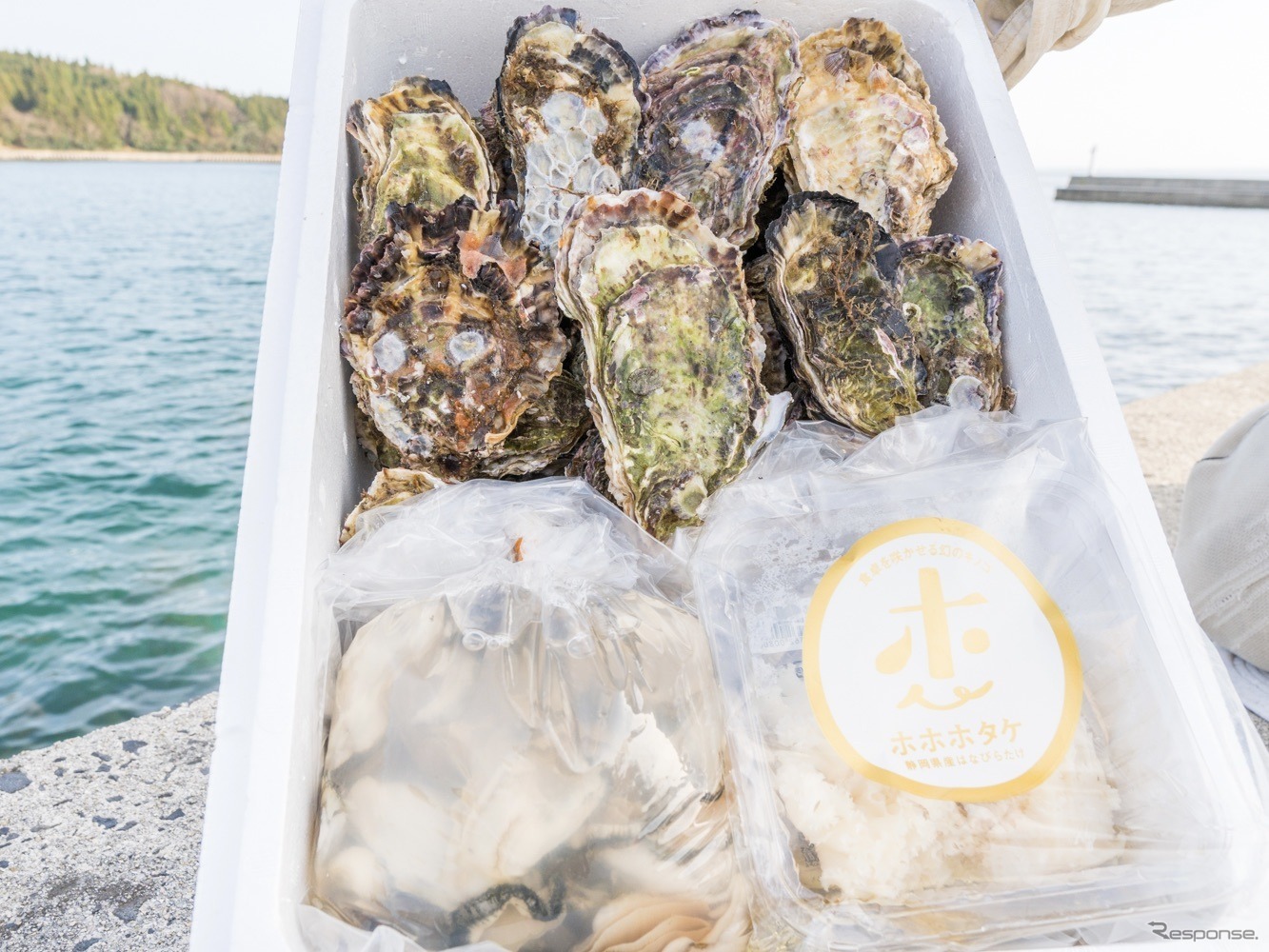 能登牡蠣とホホホタケのセット販売