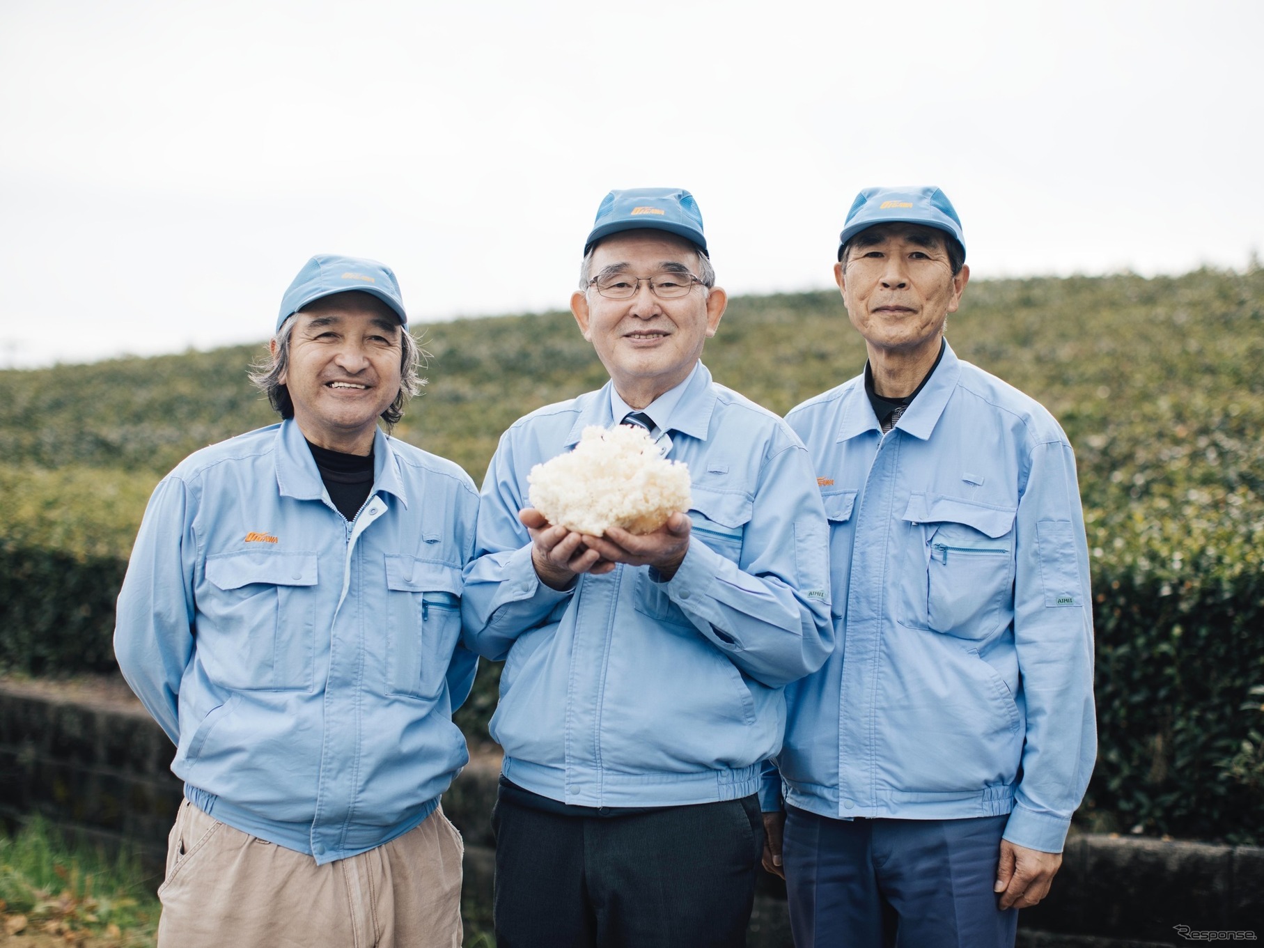 大井川電機のホホホタケ栽培