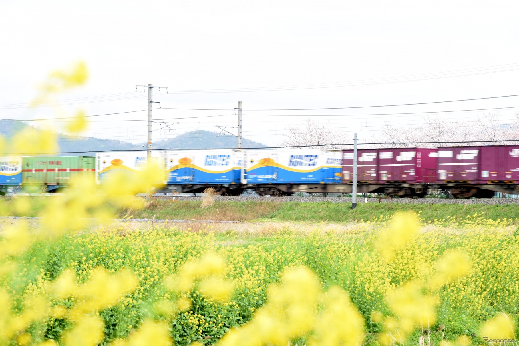 （イメージ）