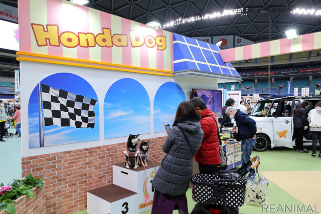 Honda Dogブース（わんにゃんドーム2022）