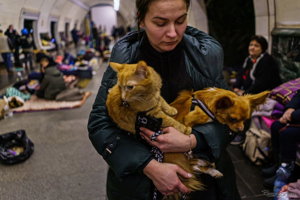ロシアの侵攻から地下鉄構内に避難するキエフ市民。猫の名前はガーフィールド、犬はヨーダ（3月2日）