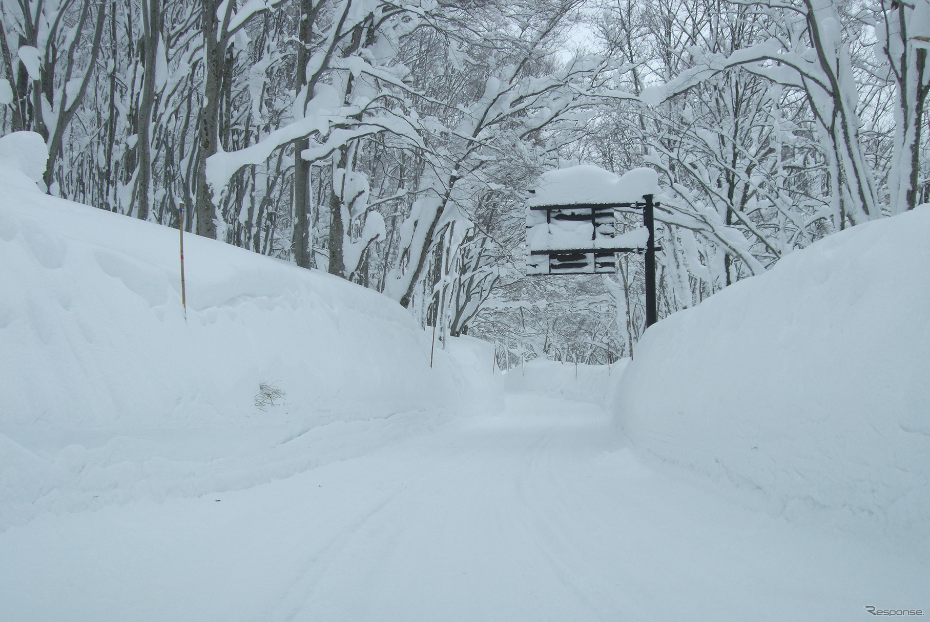 標高925mの酸ヶ湯に向けて標高が上がるにつれ、気温が低下。