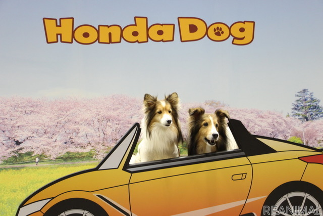 Honda Dogブース（インターペット2022）