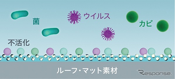 優れた消臭・抗菌・抗ウイルス・防カビ効果を発揮