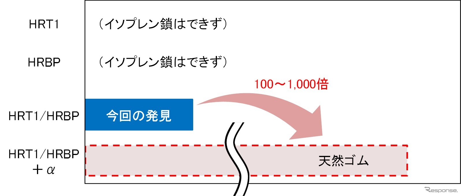 人工膜のイソプレン鎖長イメージ