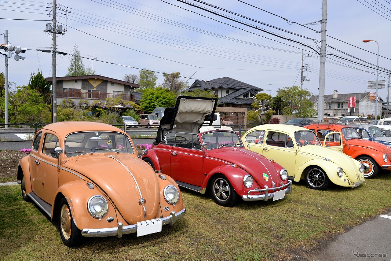 さくらモーニングクルーズVol.113
