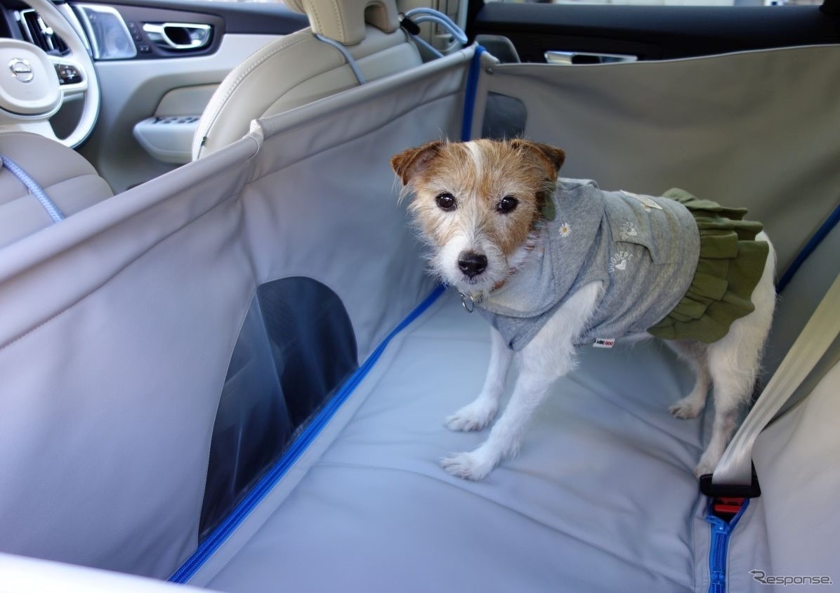 犬を車内のどこに乗せるか問題の結論