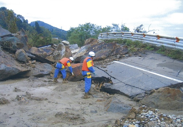 2004年に発生した新潟中越地震の際の災害救助活動