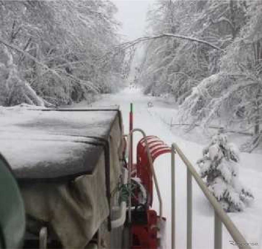 12月25日、釧網本線川湯温泉～緑間の倒木。
