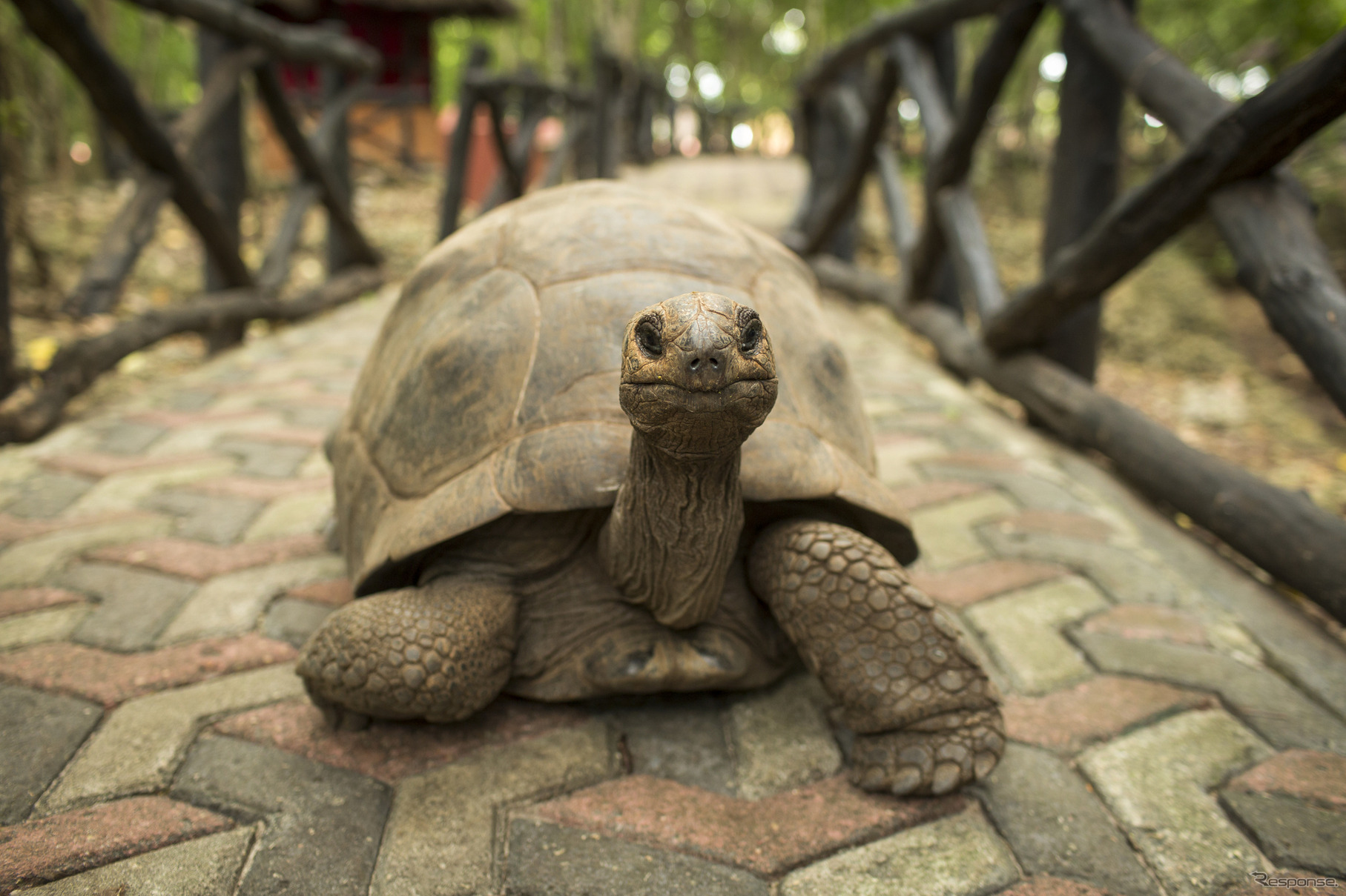 ウ、あっ……。