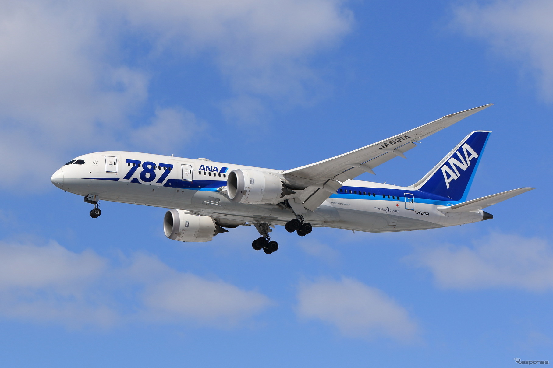 ANA機