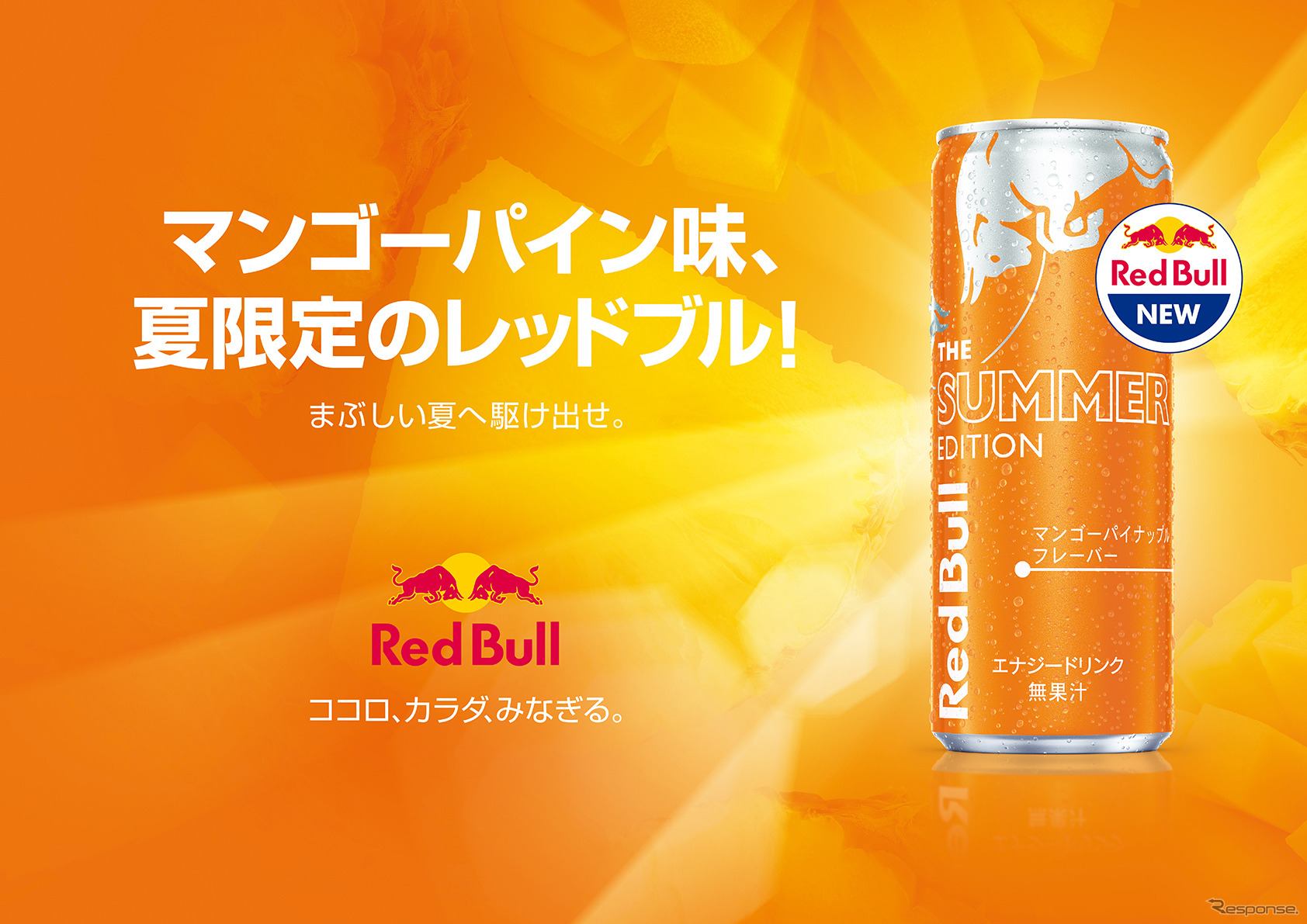 レッドブル・エナジードリンク サマーエディション