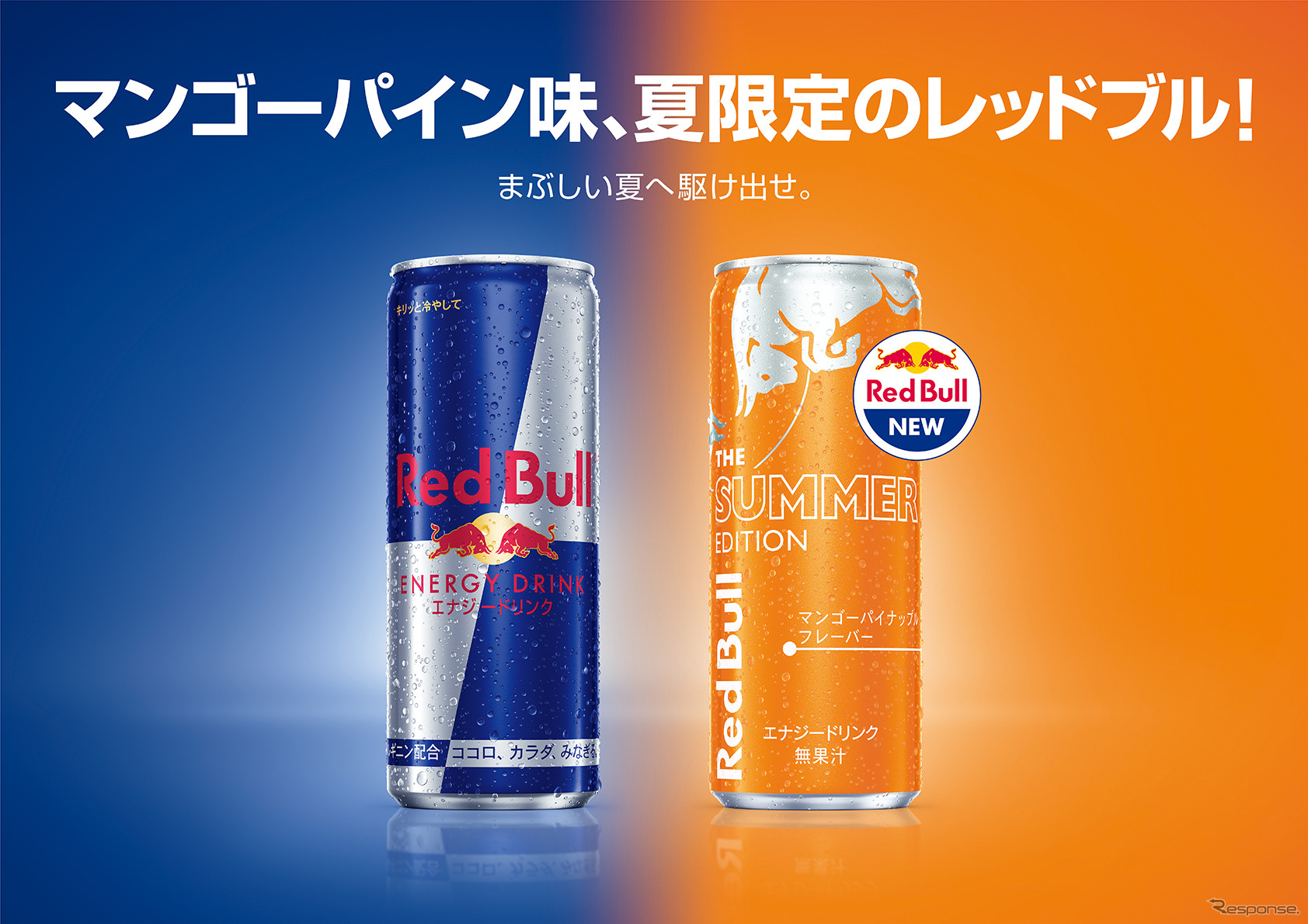 レッドブル・エナジードリンクとレッドブル・エナジードリンク サマーエディション