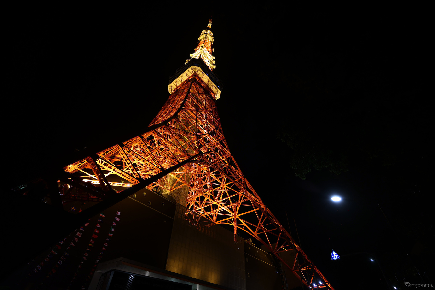 学生企画のバスツアー！東京の夜を楽しむ『ネオトーキョーツアー』