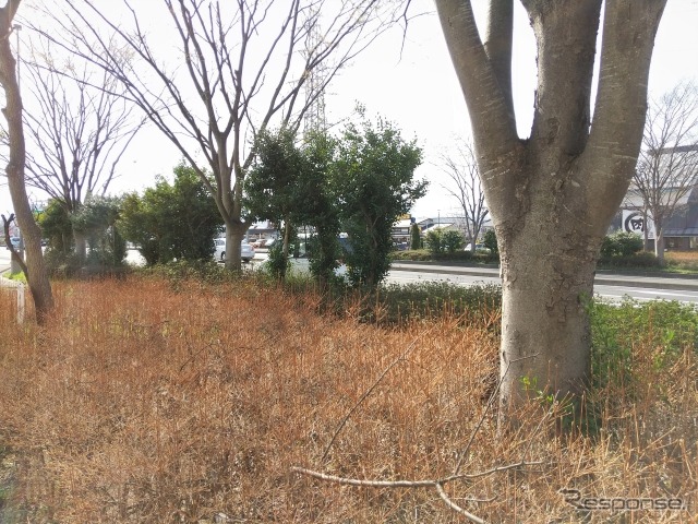 （イメージ）