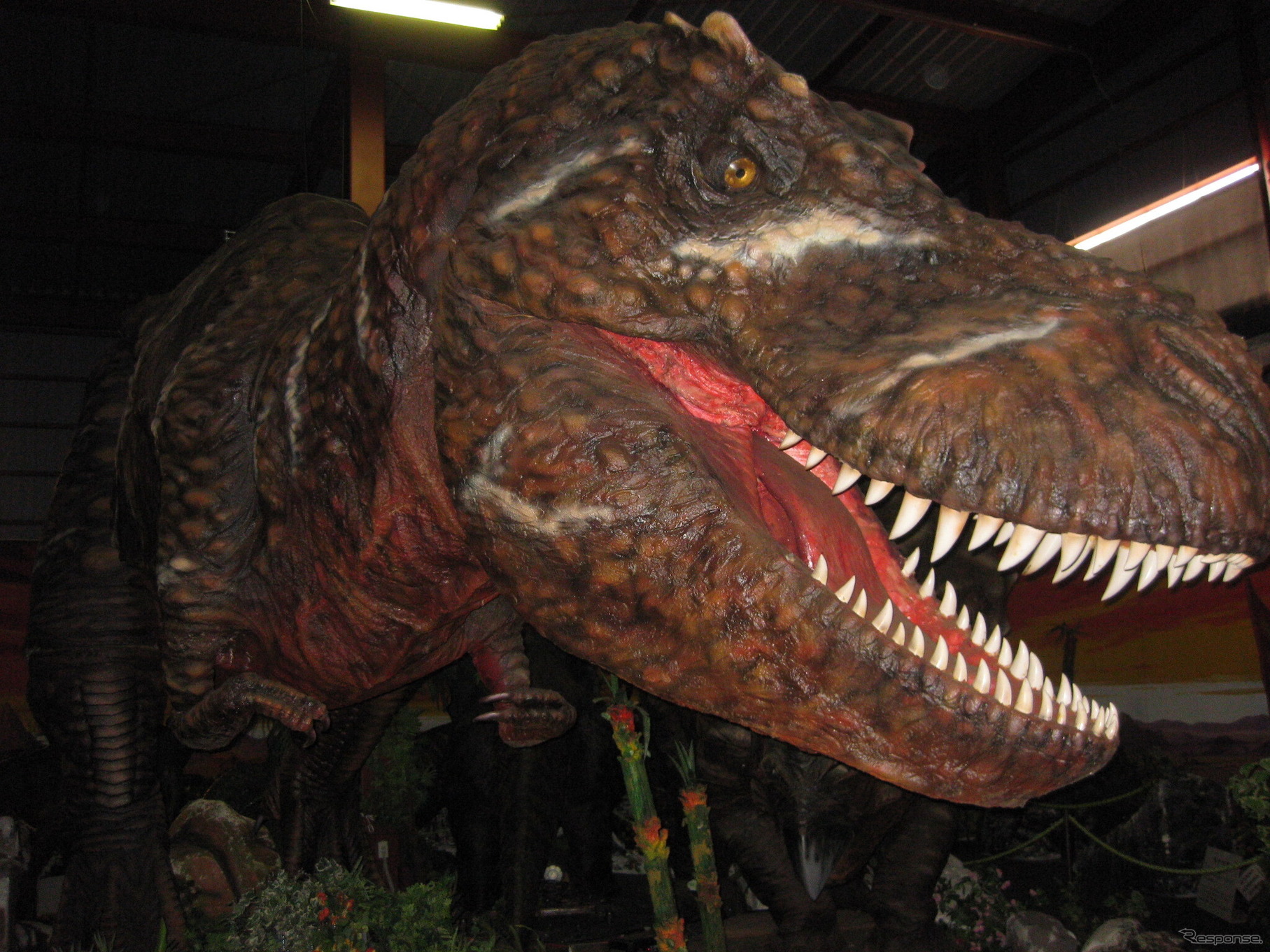全長15mの超巨大ティラノサウルスが大迫力で君に襲い掛かる!?