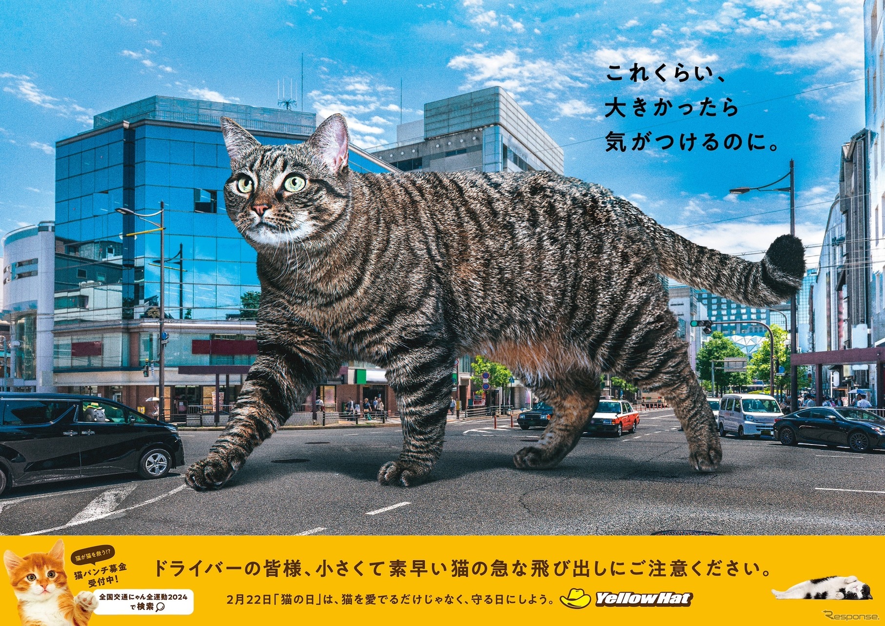 イエローハット「巨大猫ポスター」