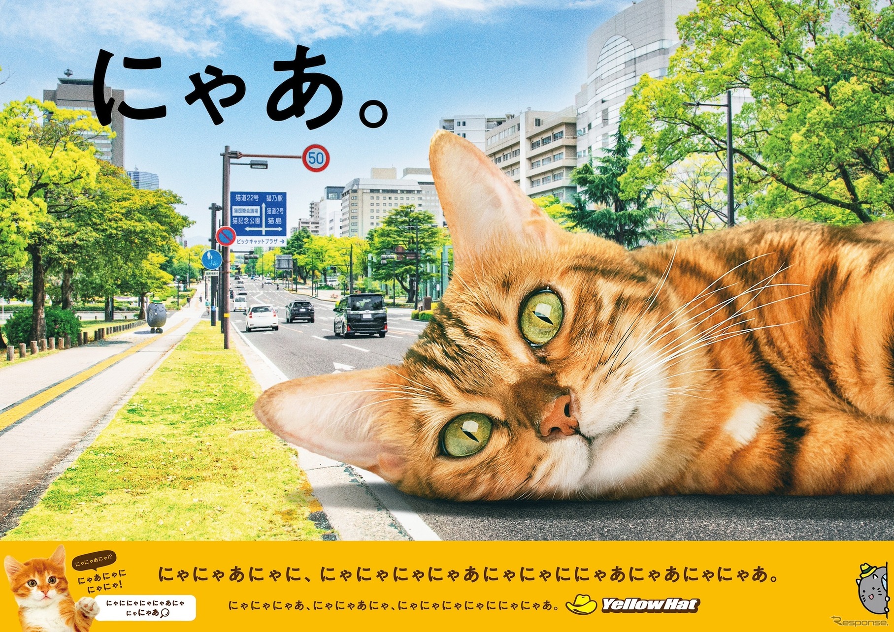 イエローハット「巨大猫ポスター」