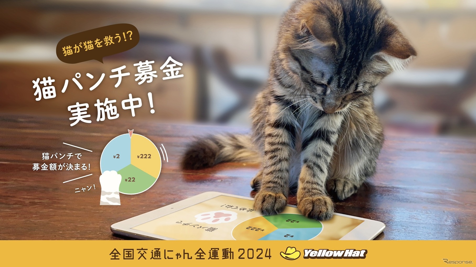 イエローハット：猫パンチ募金